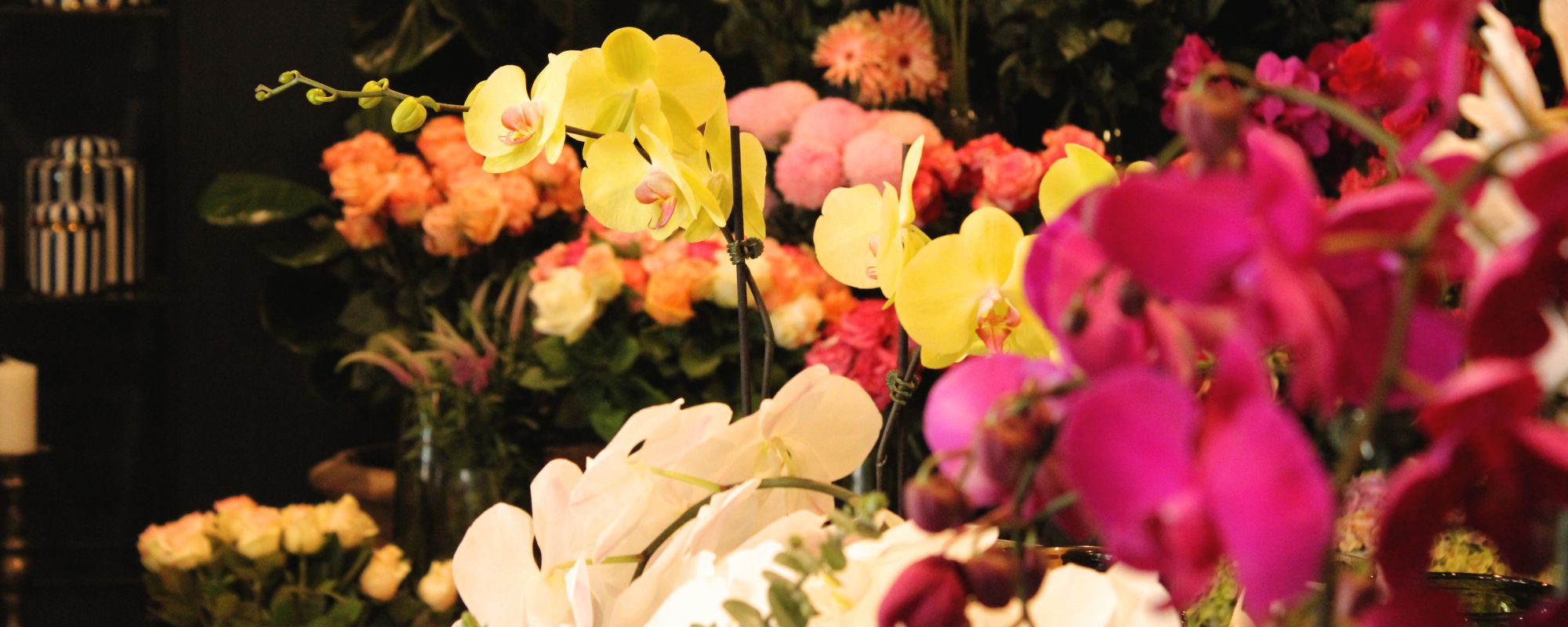 Victoria Whitelaw Beautiful Flowers Wins Floristry Category at the 2026 Australian Small Business Champion Awards