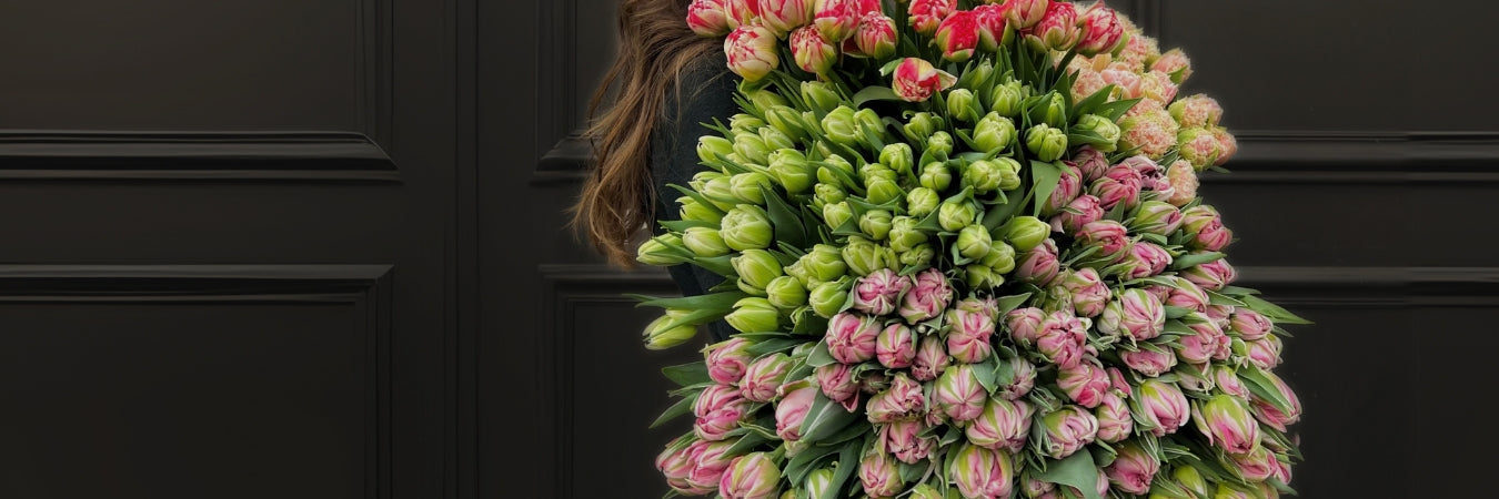 Double Tulips Melbourne – Market Pick of the Week