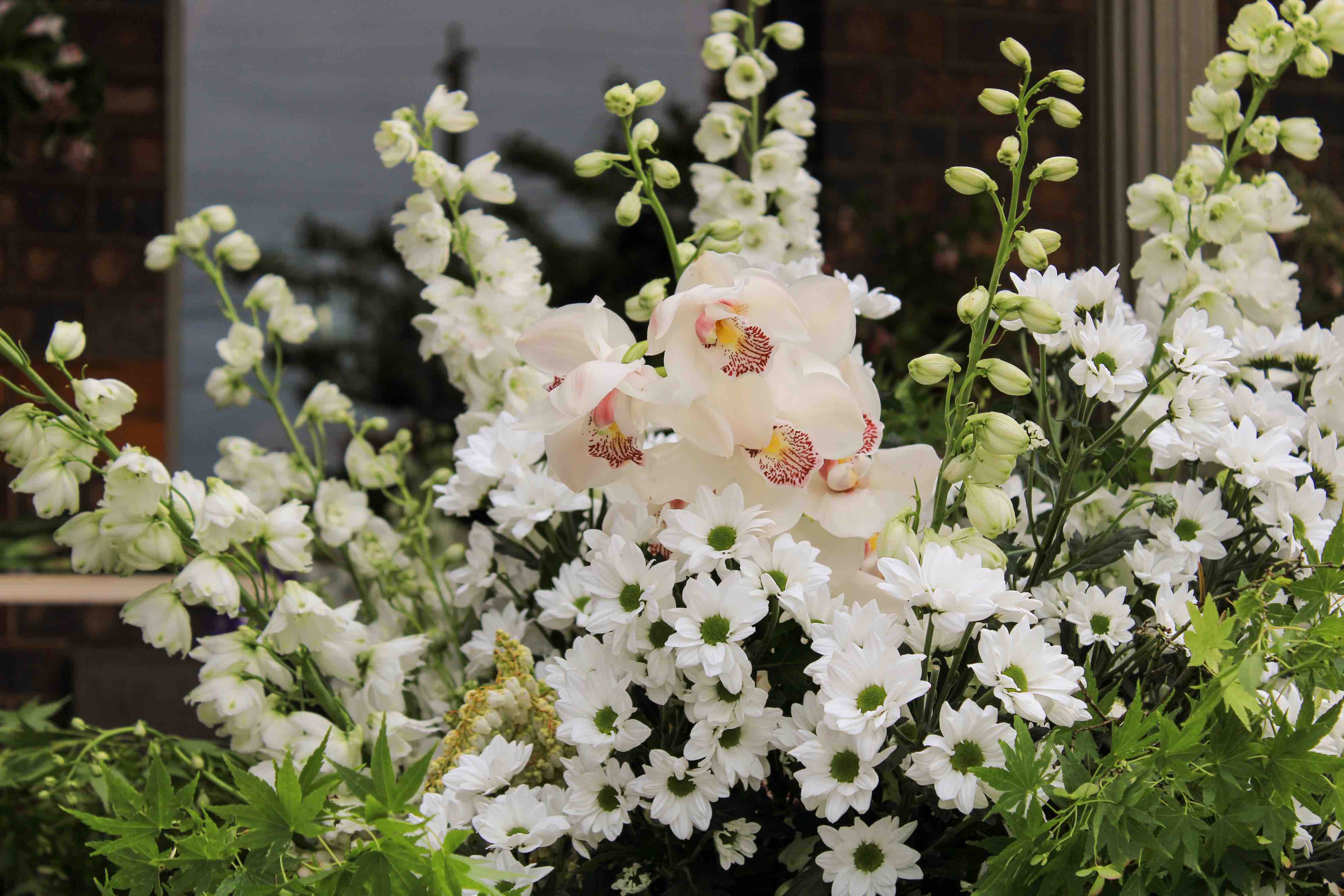 Floriography, The Meaning of Flowers