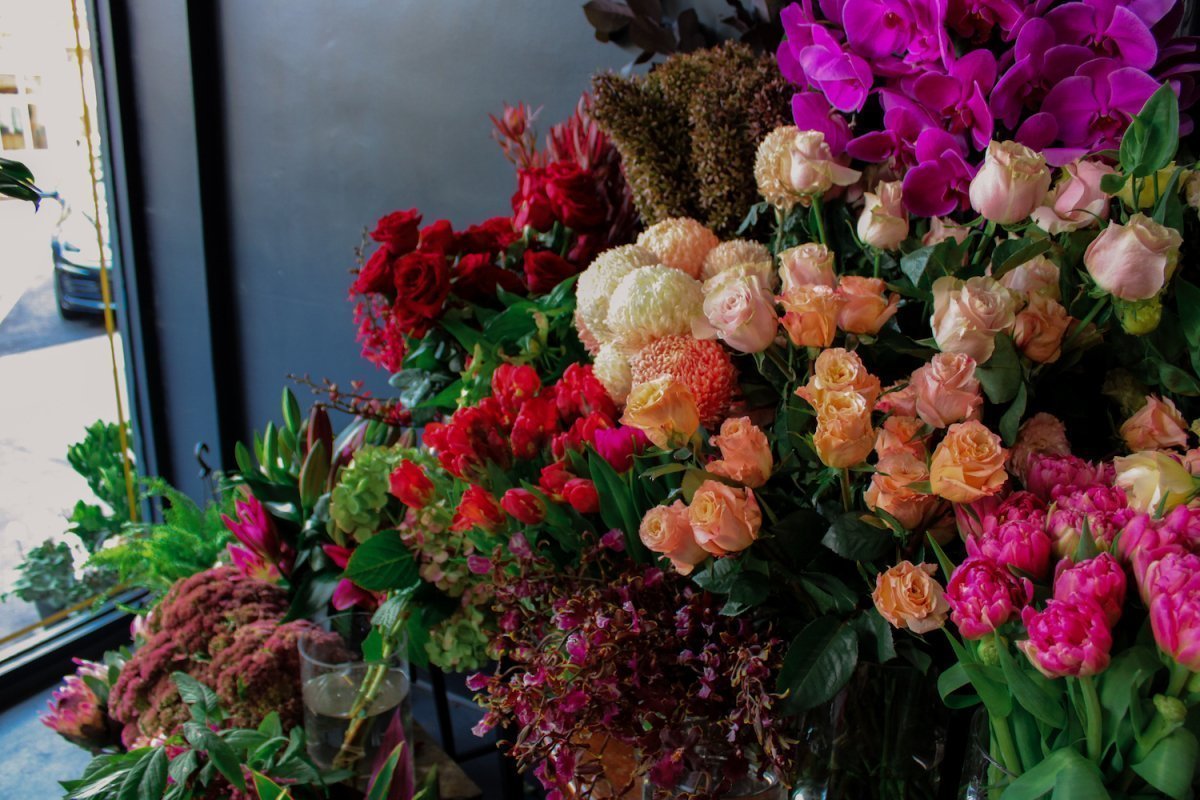 The Best Long-lasting Flower Varieties