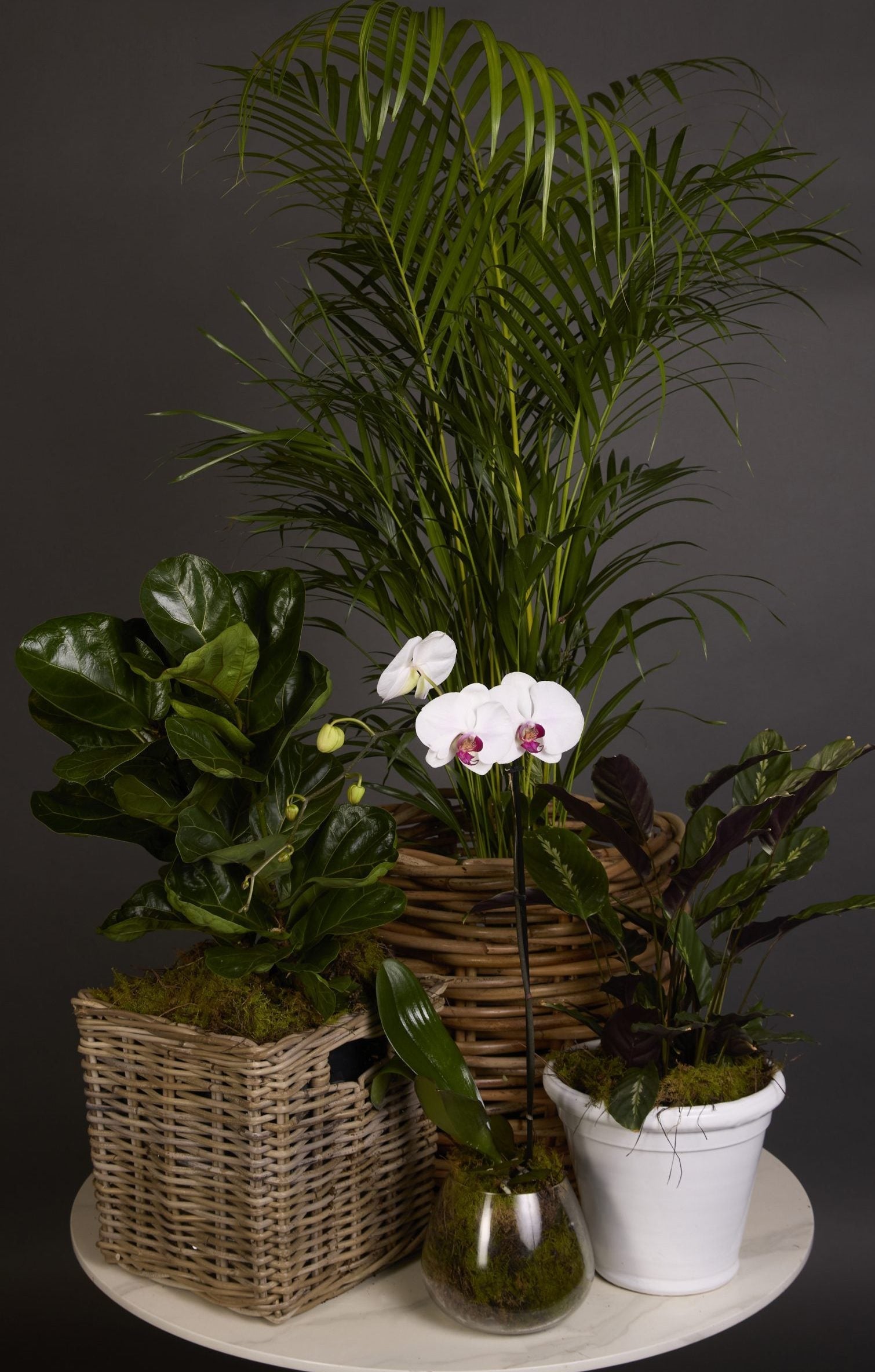 Full collection of luxury flowers, gifts, and plants