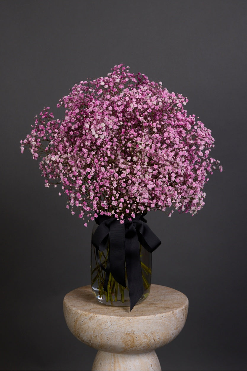 bouquet of fluffy clouds of delicate pink gyp, baby's Breath (Gypsophila) presented en masse in a bouquet for delivery in Melbourne