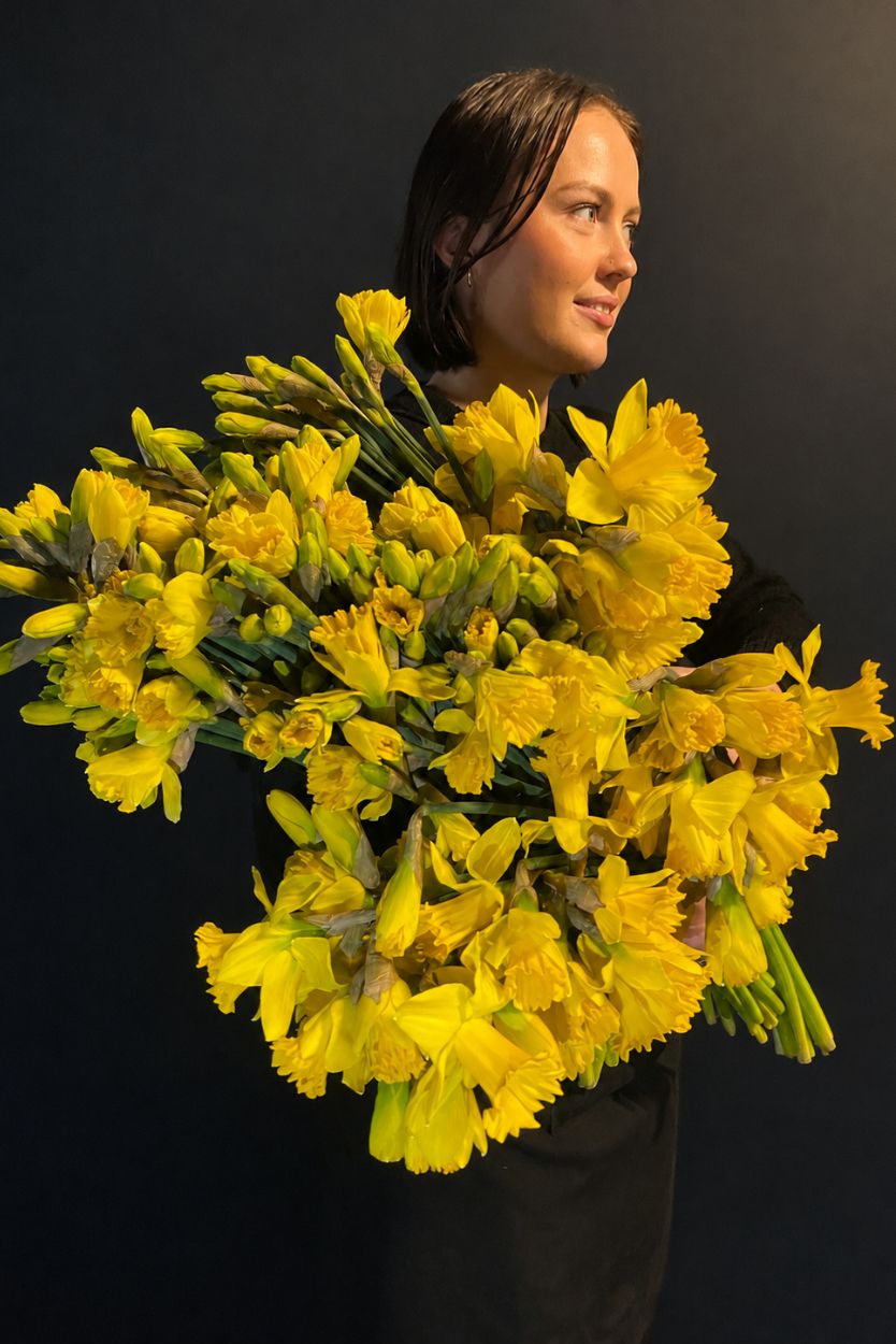 A woman holding a large, dense bouquet of bright yellow daffodils against a dark black background.