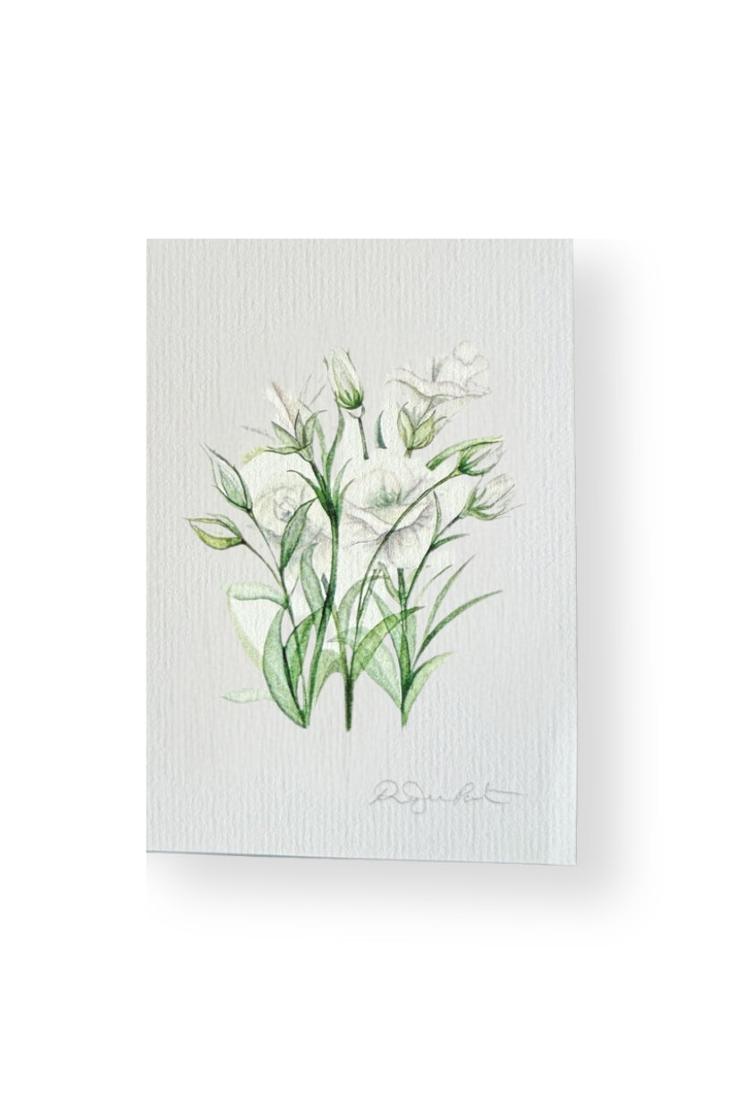 Gift Card - Exclusive Watercolour Design