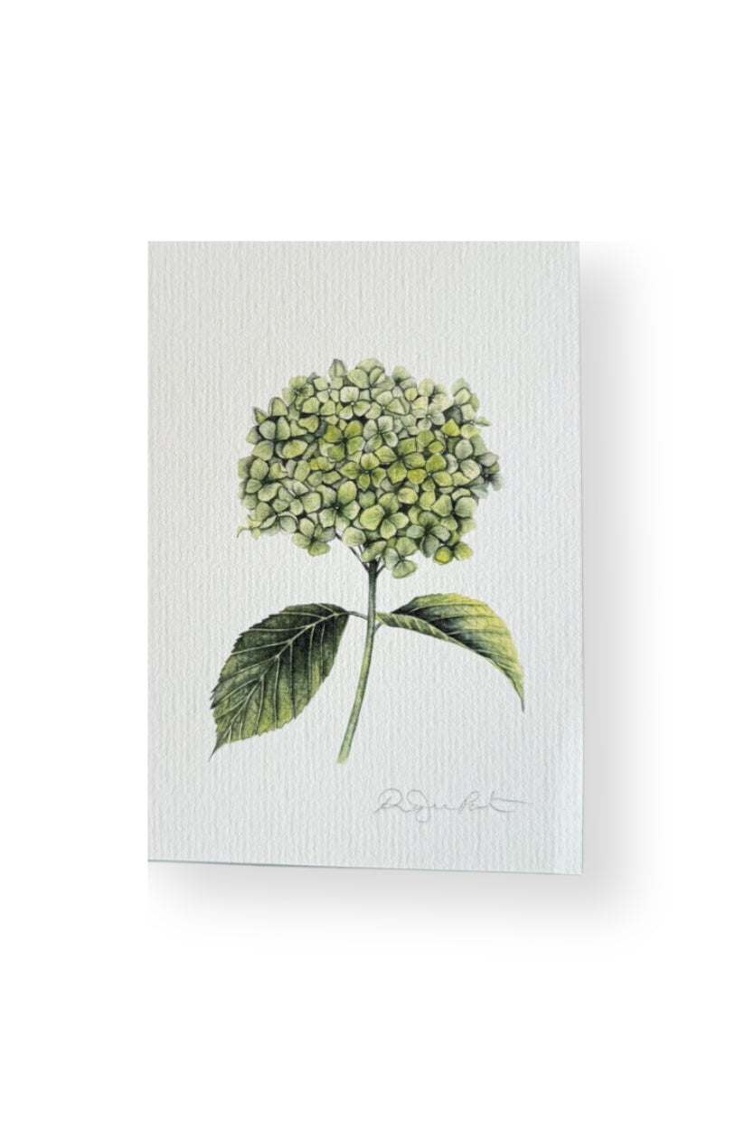 Gift Card - Exclusive Watercolour Design
