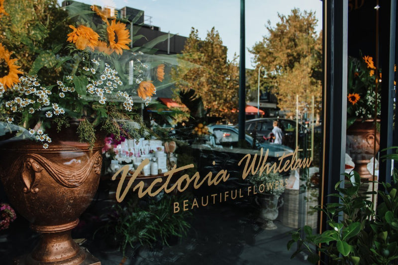Florist in Brighton- Whitelaw