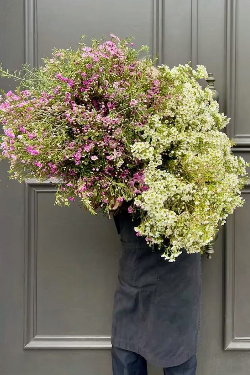 September Birth Flower Bouquet featuring native Geraldton waxflowers and lush greens
