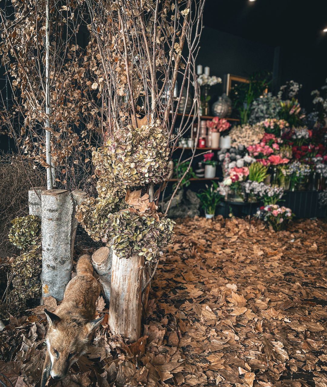Autumn Winter Installation at Florist Stores