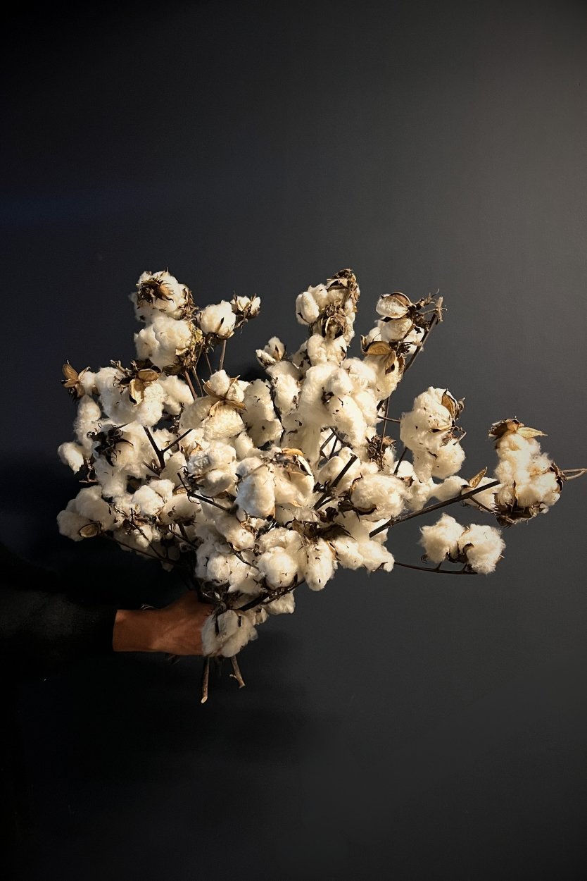 Winter Cotton Bouquet from NSW, cloud-like texture of natural cotton blooms with a woven basket – a dried, natural product that brings comfort.