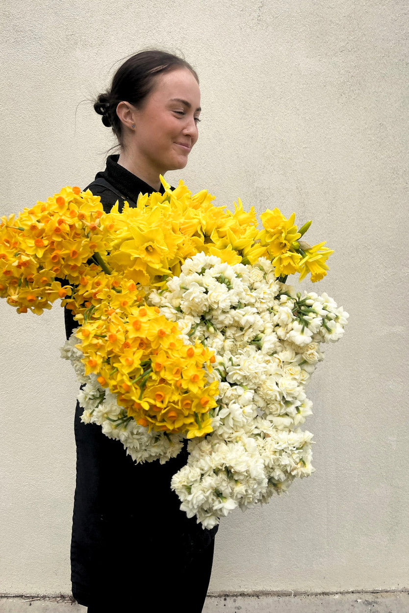 Fragrant Spring Bulbs - Flower Market Pick