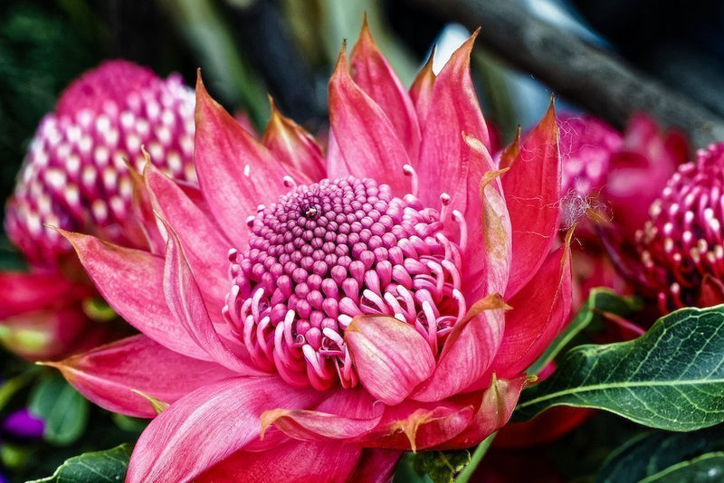 Decorative floral arrangement in soft tones