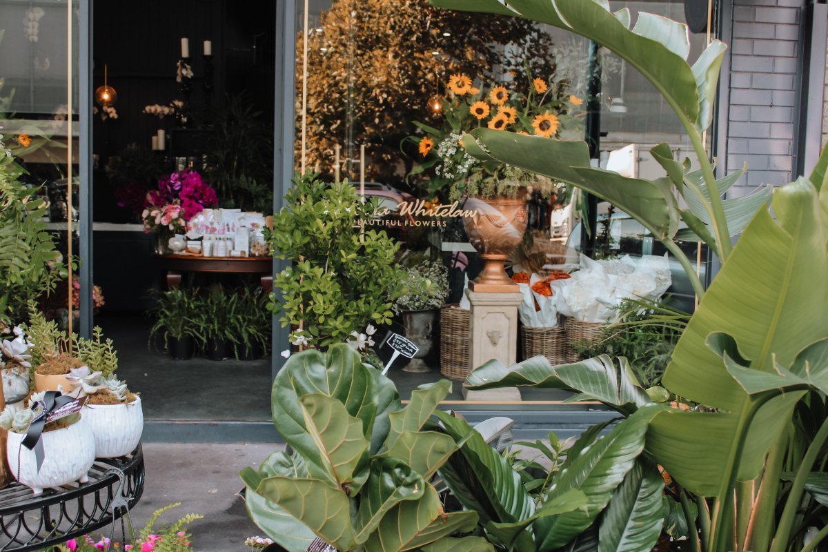 Florist in Brighton-148