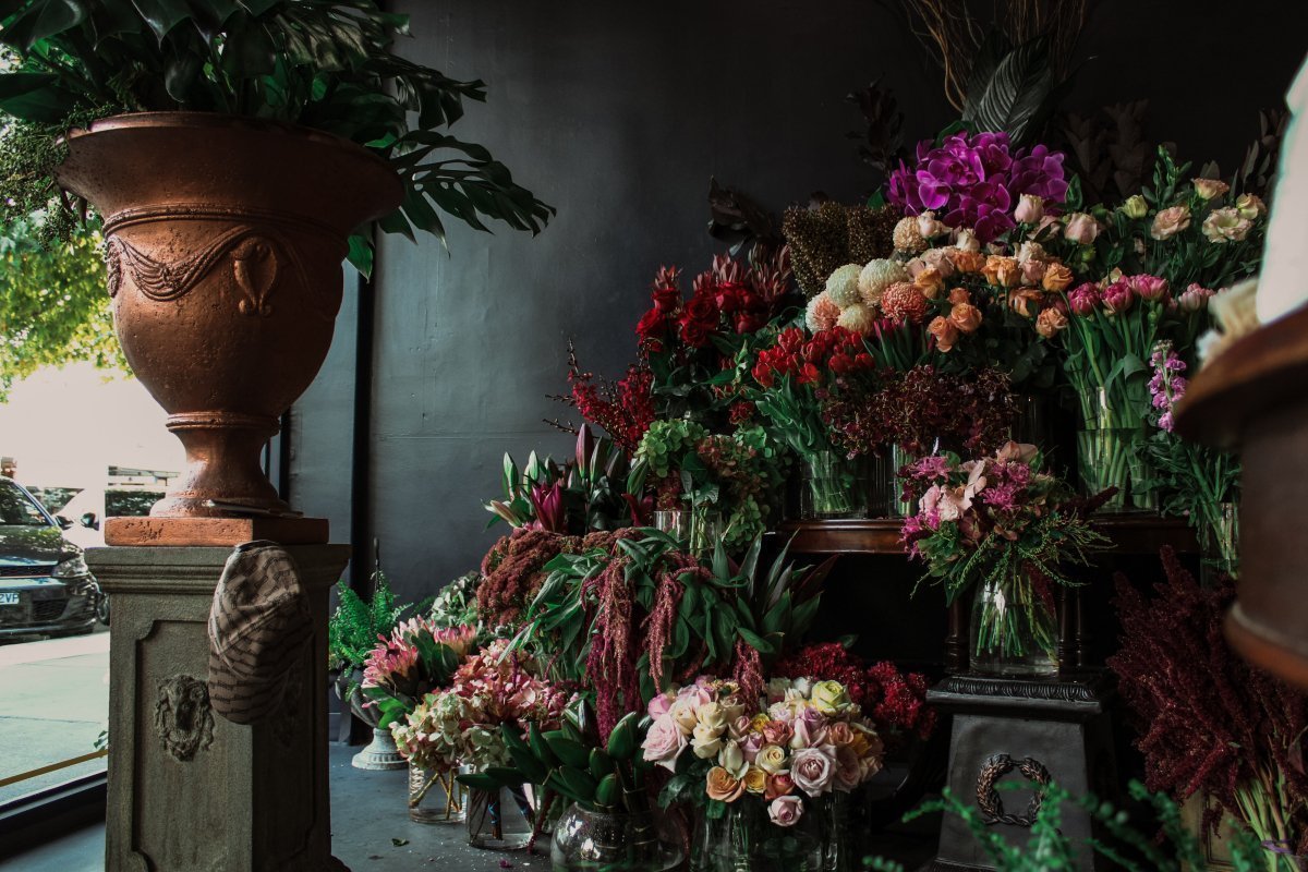 premium Florist in Brighton