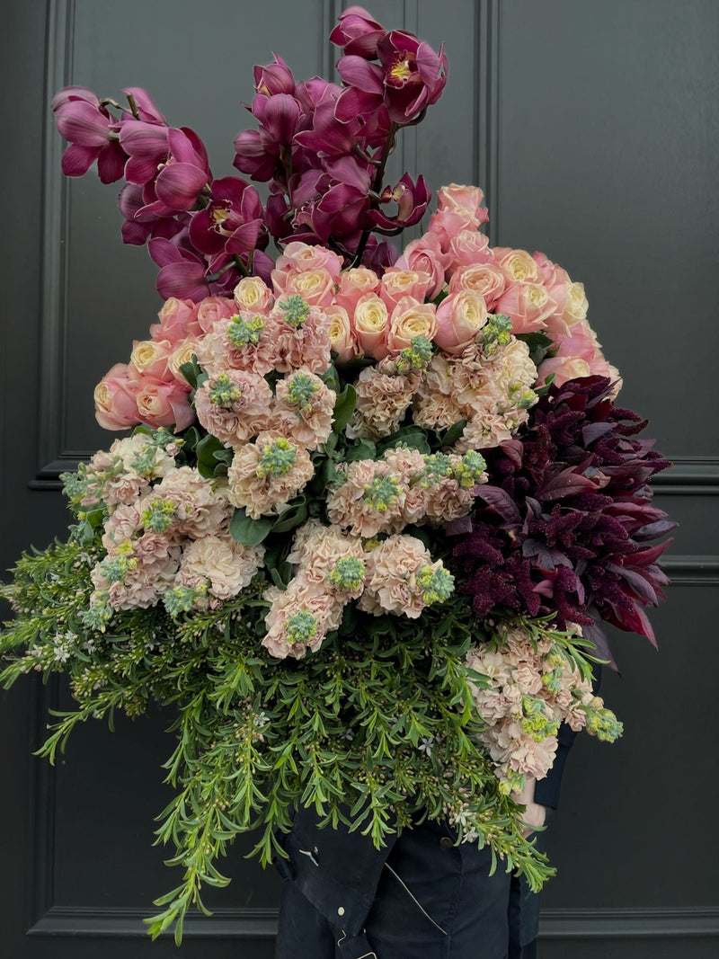 Winter is Here - And the Season’s Best Blooms are on their Way